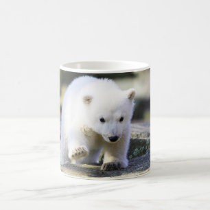 Niedliche Kleintiere   Baby Polar Bear Cube Kaffeetasse