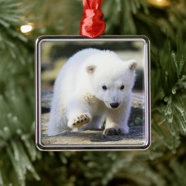 Niedliche Kleintiere | Baby Polar Bear Cube Ornament Aus Metall (Baum)
