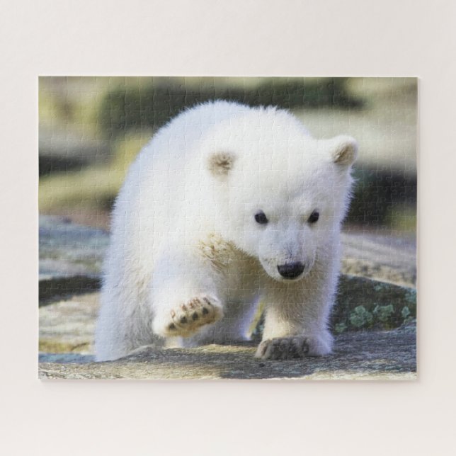 Niedliche Kleintiere | Baby Polar Bear Cube Puzzle (Horizontal)