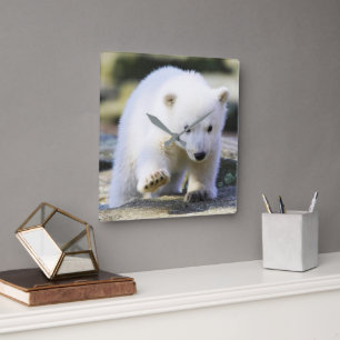 Niedliche Kleintiere Baby Polar Bear Cube Quadratische Wanduhr