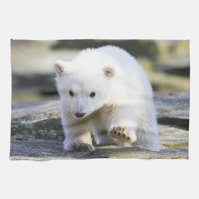 Niedliche Kleintiere | Baby Polar Bear Geschirrtuch (Horizontal)