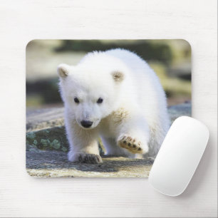 Niedliche Kleintiere Baby Polar Bear Mousepad