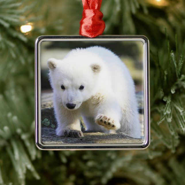 Niedliche Kleintiere | Baby Polar Bear Ornament Aus Metall (Baum)