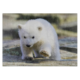 Niedliche Kleintiere Baby Polar Bear Schneidebrett