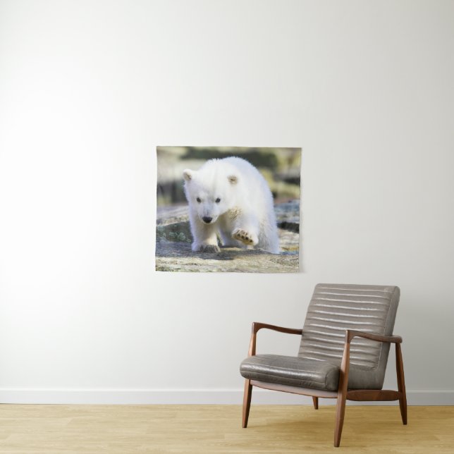 Niedliche Kleintiere | Baby Polar Bear Wandteppich (Beispiel (Horizontal))