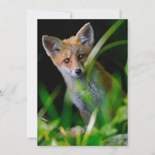 Niedliche Kleintiere Baby Red Fox Dankeskarte