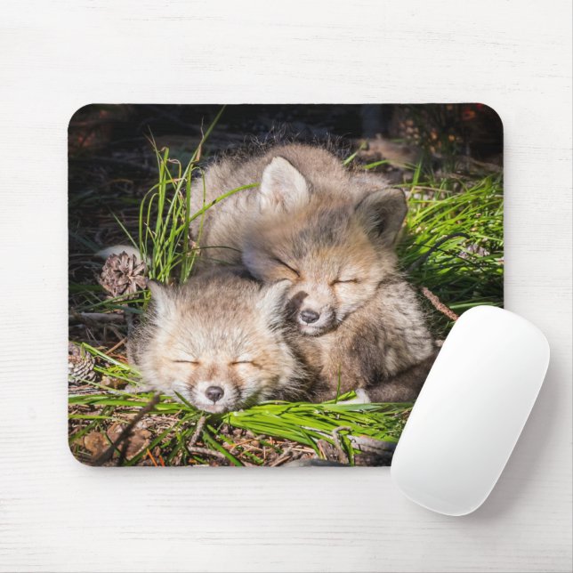 Niedliche Kleintiere | Baby Red Fox Kits Schlafen Mousepad (Mit Mouse)