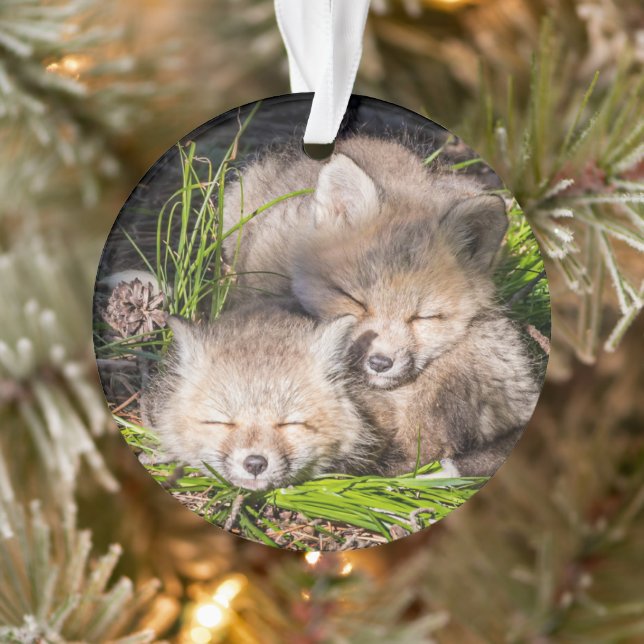 Niedliche Kleintiere | Baby Red Fox Kits Schlafen Ornament (Baum)