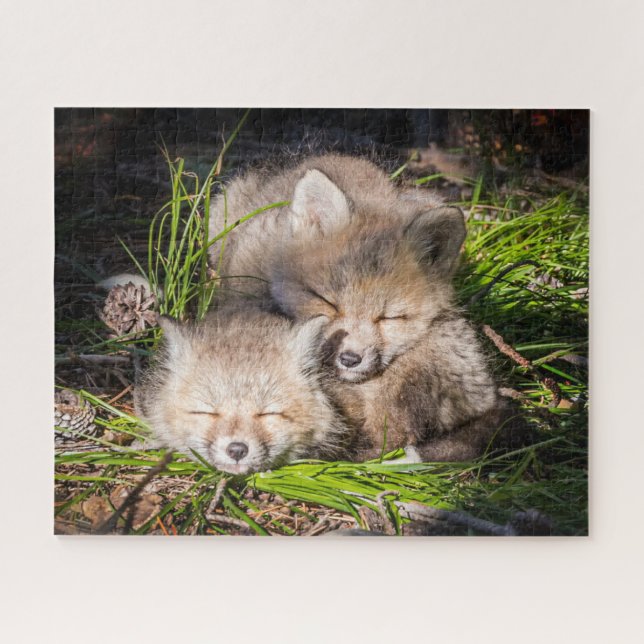 Niedliche Kleintiere | Baby Red Fox Kits Schlafen Puzzle (Horizontal)