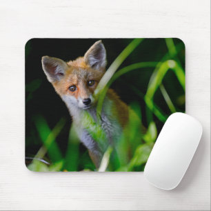 Niedliche Kleintiere   Baby Red Fox Mousepad