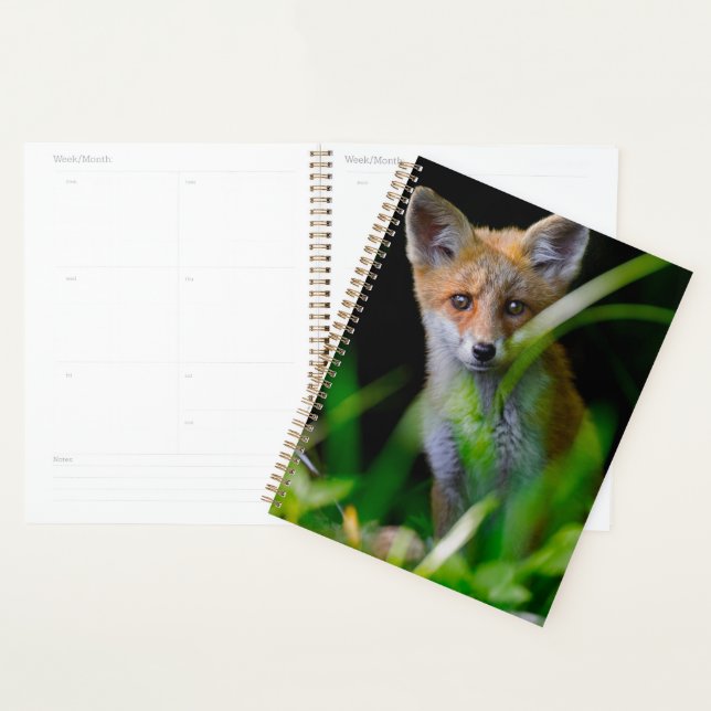 Niedliche Kleintiere | Baby Red Fox Planer (Anzeige)