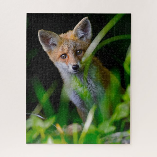 Niedliche Kleintiere | Baby Red Fox Puzzle (Vertikal)