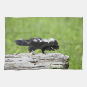 Niedliche Kleintiere   Baby Skunk Geschirrtuch