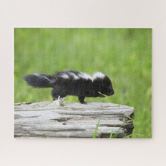 Niedliche Kleintiere | Baby Skunk Puzzle (Horizontal)