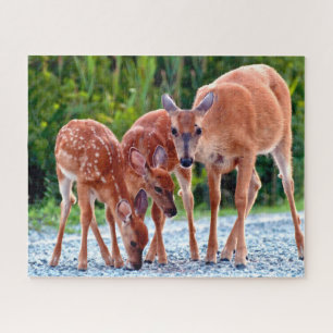 Niedliche Kleintiere Babygewächse Puzzle