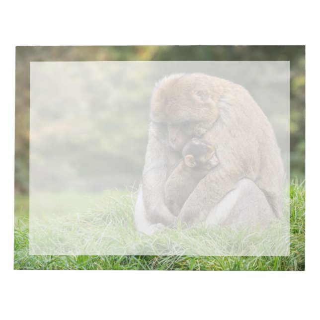 Niedliche Kleintiere | Barbary Macaque Family Notizblock (Vorderseite)