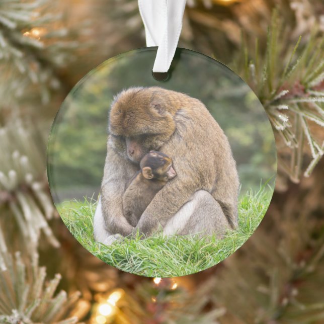 Niedliche Kleintiere | Barbary Macaque Family Ornament (Baum)