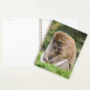 Niedliche Kleintiere Barbary Macaque Family Planer