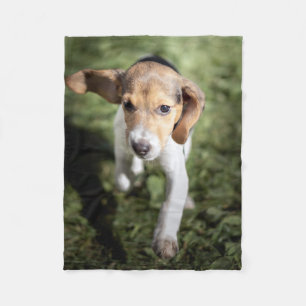 Niedliche Kleintiere Beagle Welpe Fleecedecke