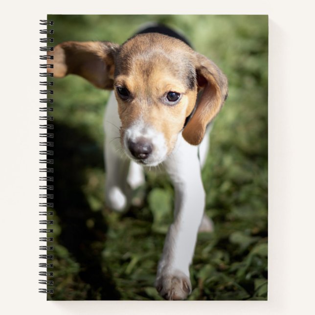 Niedliche Kleintiere | Beagle Welpe Notizbuch (Vorderseite)