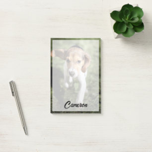 Niedliche Kleintiere   Beagle Welpe Post-it Klebezettel