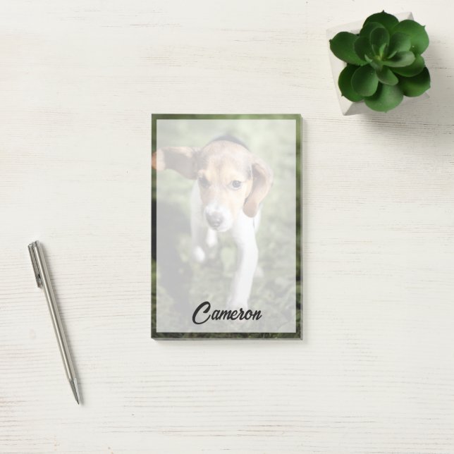 Niedliche Kleintiere | Beagle Welpe Post-it Klebezettel (Büro)