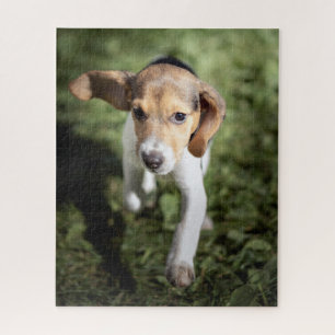 Niedliche Kleintiere   Beagle Welpe Puzzle