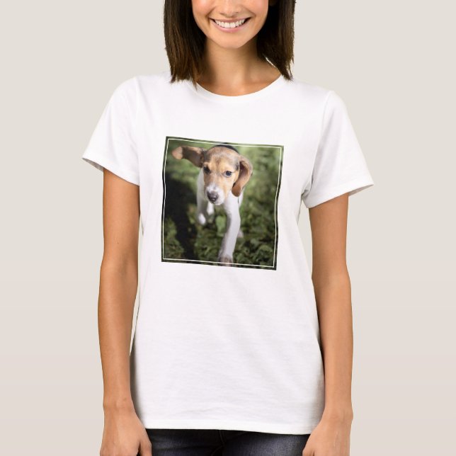 Niedliche Kleintiere | Beagle Welpe T-Shirt (Vorderseite)