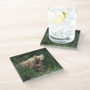 Niedliche Kleintiere Bear Mama Bear & Ihre Cubs Glasuntersetzer