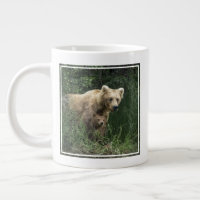 Niedliche Kleintiere | Bear Mama Bear & Ihre Cubs