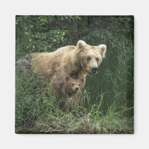 Niedliche Kleintiere   Bear Mama Bear & Ihre Cubs Magnet