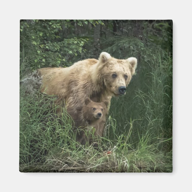 Niedliche Kleintiere | Bear Mama Bear & Ihre Cubs Magnet (Vorne)