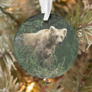 Niedliche Kleintiere Bear Mama Bear & Ihre Cubs Ornament