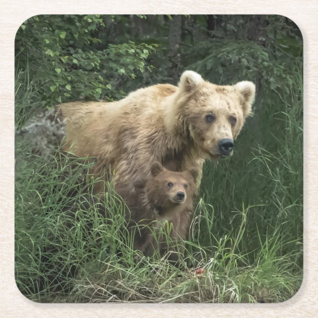Niedliche Kleintiere | Bear Mama Bear & Ihre Cubs Rechteckiger Pappuntersetzer (Vorderseite)