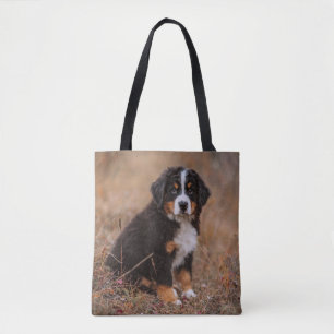 Niedliche Kleintiere Bernese Mountain Dog