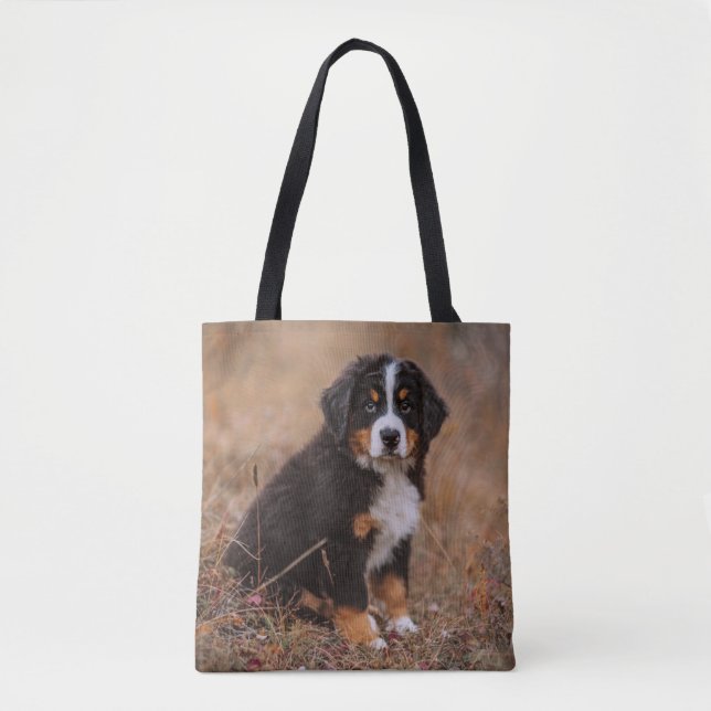 Niedliche Kleintiere | Bernese Mountain Dog (Vorderseite)