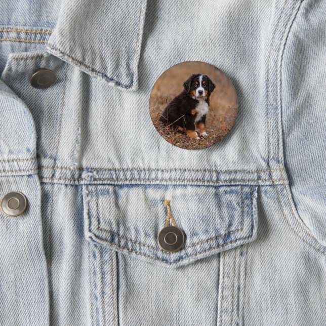 Niedliche Kleintiere | Bernese Mountain Dog Button (Beispiel)
