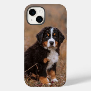 Niedliche Kleintiere Bernese Mountain Dog Case-Mate iPhone 14 Hülle