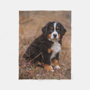 Niedliche Kleintiere Bernese Mountain Dog Fleecedecke