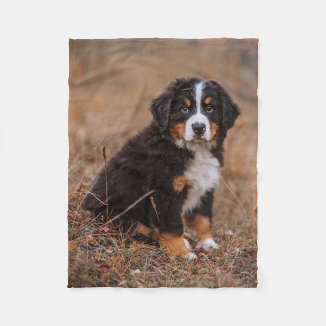 Niedliche Kleintiere | Bernese Mountain Dog Fleecedecke (Vorderseite)