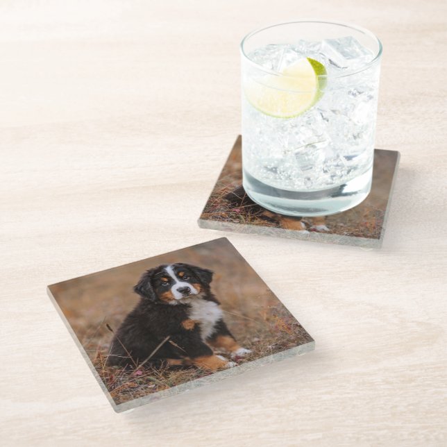 Niedliche Kleintiere | Bernese Mountain Dog Glasuntersetzer (Schrägansicht)