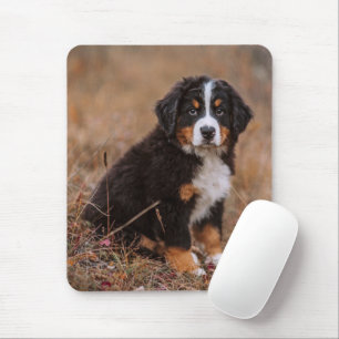 Niedliche Kleintiere Bernese Mountain Dog Mousepad