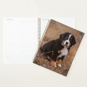 Niedliche Kleintiere Bernese Mountain Dog Planer