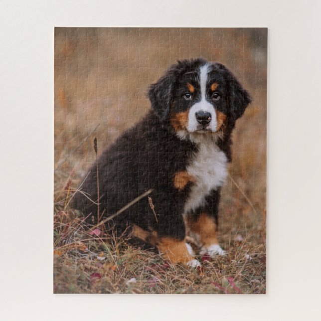 Niedliche Kleintiere | Bernese Mountain Dog Puzzle (Vertikal)