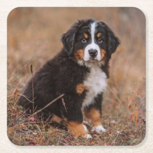 Niedliche Kleintiere Bernese Mountain Dog Rechteckiger Pappuntersetzer