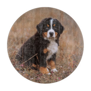 Niedliche Kleintiere   Bernese Mountain Dog Schneidebrett