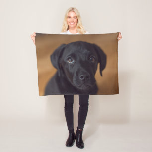 Niedliche Kleintiere   Black Labrador Puppy Fleecedecke