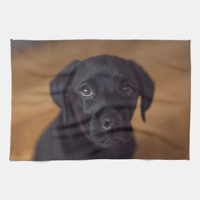 Niedliche Kleintiere | Black Labrador Puppy Geschirrtuch (Horizontal)