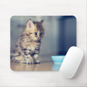 Niedliche Kleintiere   Blaues mit Augen Perserkätz Mousepad