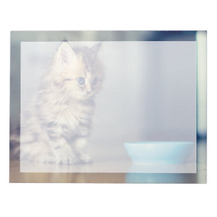Niedliche Kleintiere Blaues mit Augen Perserkätz Notizblock